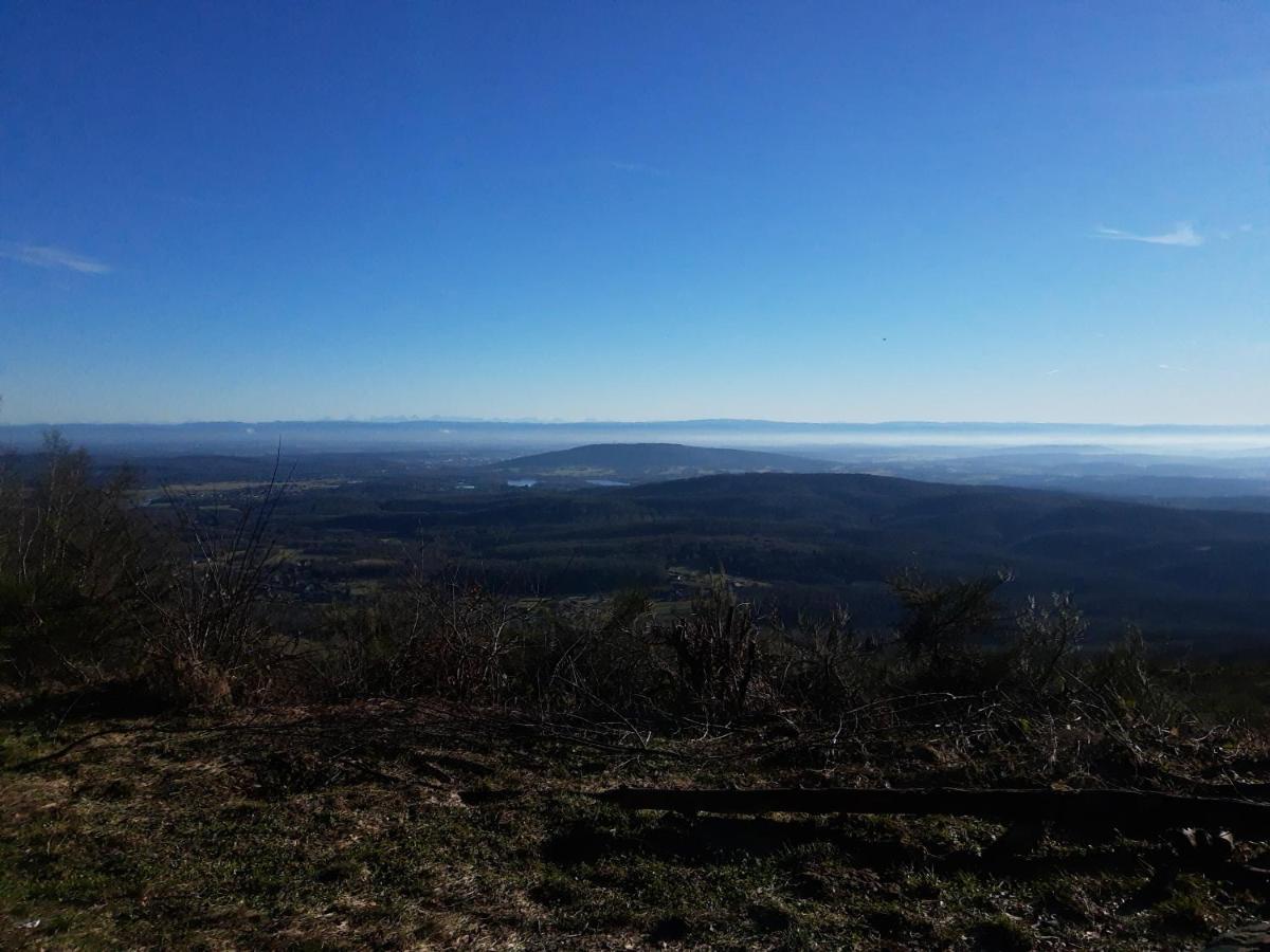 Calme Et Lumineux Avec Terrasse * Auxelles-Haut